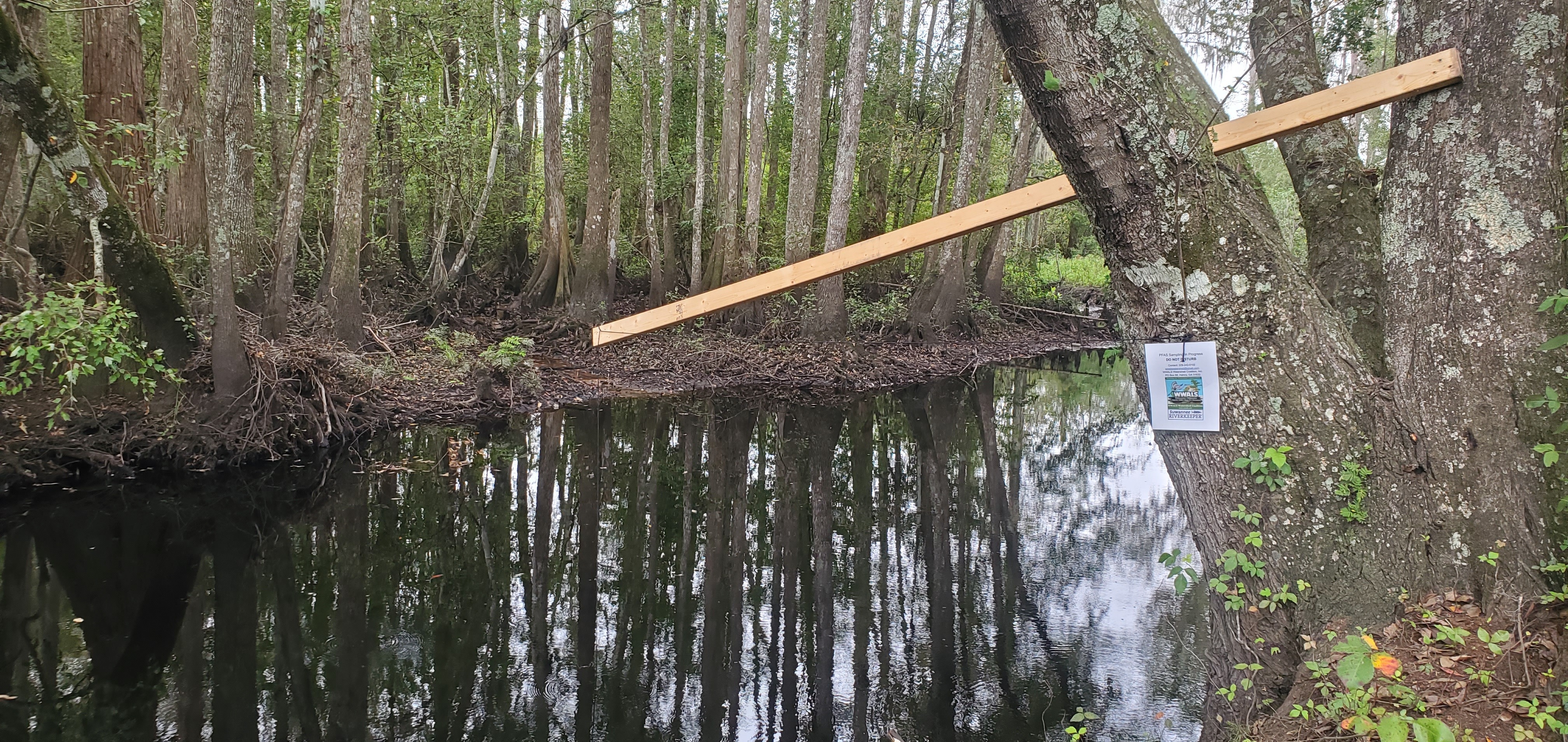 Inner Perimeter, Mud Swamp Creek, upstream from Valdosta Mud Creek WTP, 2024:09:15 10:37:12, 30.8049971, -83.2358459