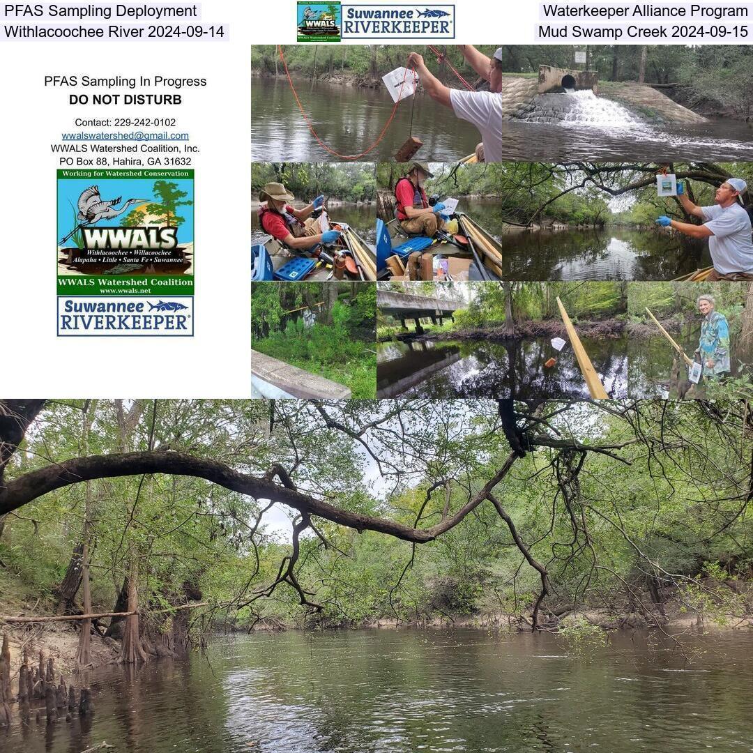 PFAS Sampling Deployment, Waterkeeper Alliance Program, Withlacoochee River 2024-09-14, Mud Swamp Creek 2024-09-15