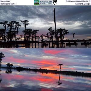 [Banks Lake Full Harvest Moon 2024-09-17, Banks Lake NWR, Lakeland, Georgia]