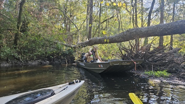 [John S. Quarterman under a deadfall --Darlene Eanes Ray, 09:41:13, 31.1966593, -83.5204119]