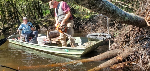 [Tommy with a bigger saw --John S. Quarterman, 10:35:36, 31.2074479, -83.5097240]