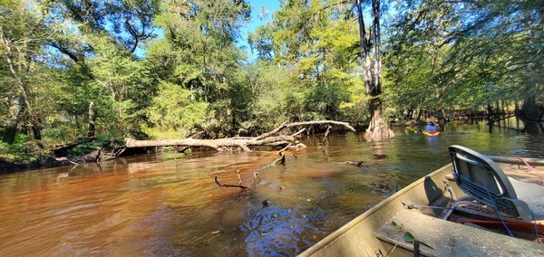 Around towards the left bank --John S. Quarterman, 11:04:03, 31.2093399, -83.5100241