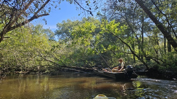 [Pulling up to Poley Deadfall --Darlene Eanes Ray, 11:10:56, 31.2112191, -83.5110924]