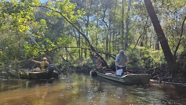 [Tommy sawed off Poley Deadfall --Darlene Eanes Ray, 11:15:49, 31.2112075, -83.5110736]