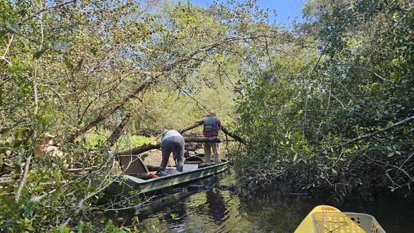 [Tommy sawing a big branch off Poley Deadfall --Darlene Eanes Ray, 11:25:04, 31.2112315, -83.5109706]