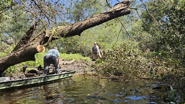 [Tommy and Paris pulling branches ashore at Poley Deadfall --Darlene Eanes Ray, 11:32:29, 31.2112309, -83.5109692]