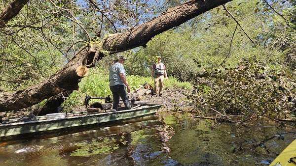 Later he came back and got the saw --Darlene Eanes Ray, 11:32:48, 31.2112431, -83.5109589