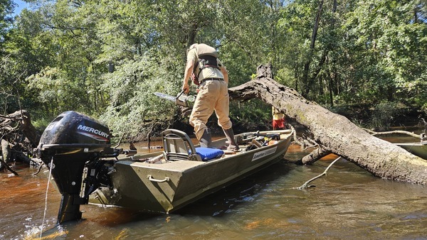 [jsq & Lon at Lower Flat Ford Deadfall --Darlene Eanes Ray, 11:56:38, 31.2121975, -83.5114251]