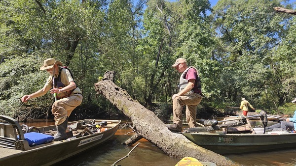 Try not to trip on the chainsaws --Darlene Eanes Ray, 11:58:41, 31.2121963, -83.5114249