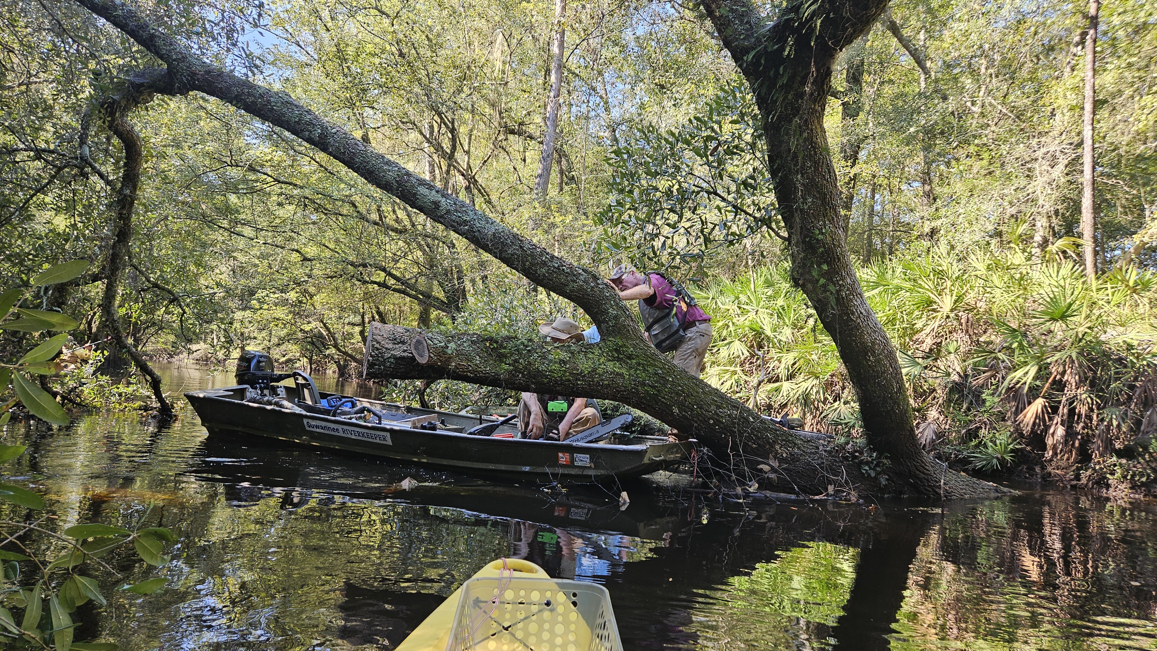 More Sumner Deadfall --Darlene Eanes Ray, 10:57:26, 31.2090022, -83.5101760