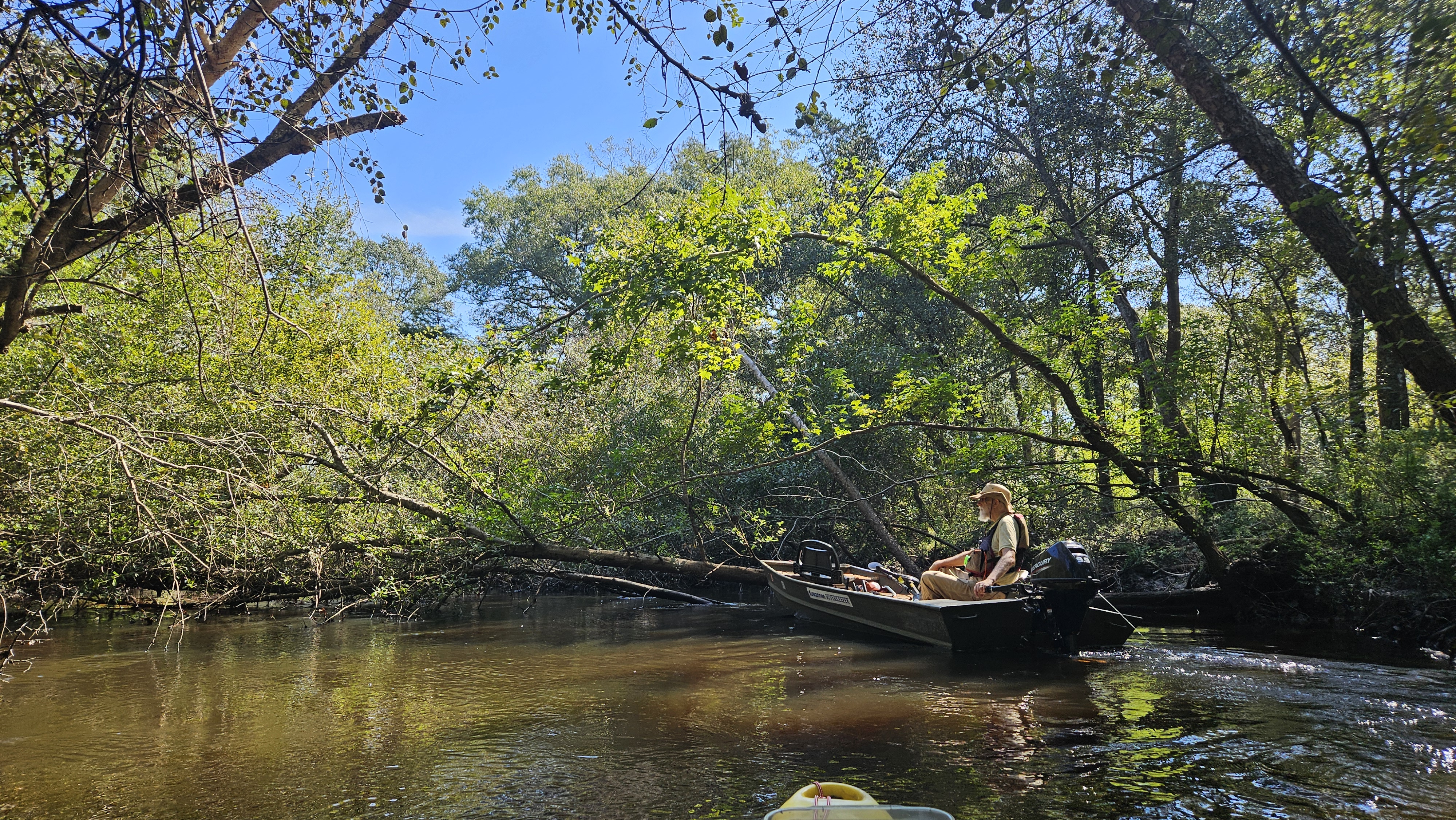 Pulling up to Poley Deadfall --Darlene Eanes Ray, 11:10:56, 31.2112191, -83.5110924