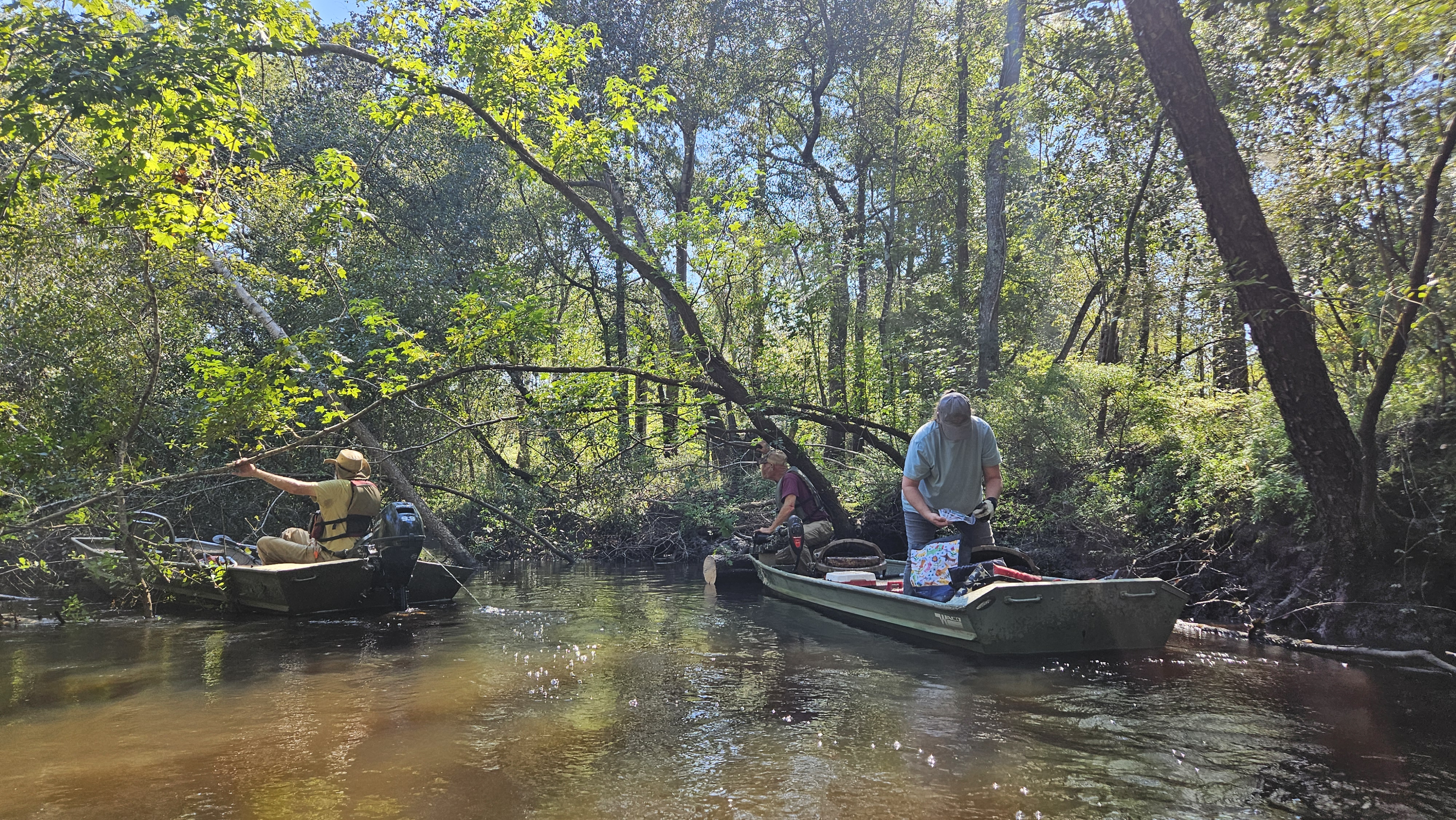 Tommy sawed off Poley Deadfall --Darlene Eanes Ray, 11:15:49, 31.2112075, -83.5110736