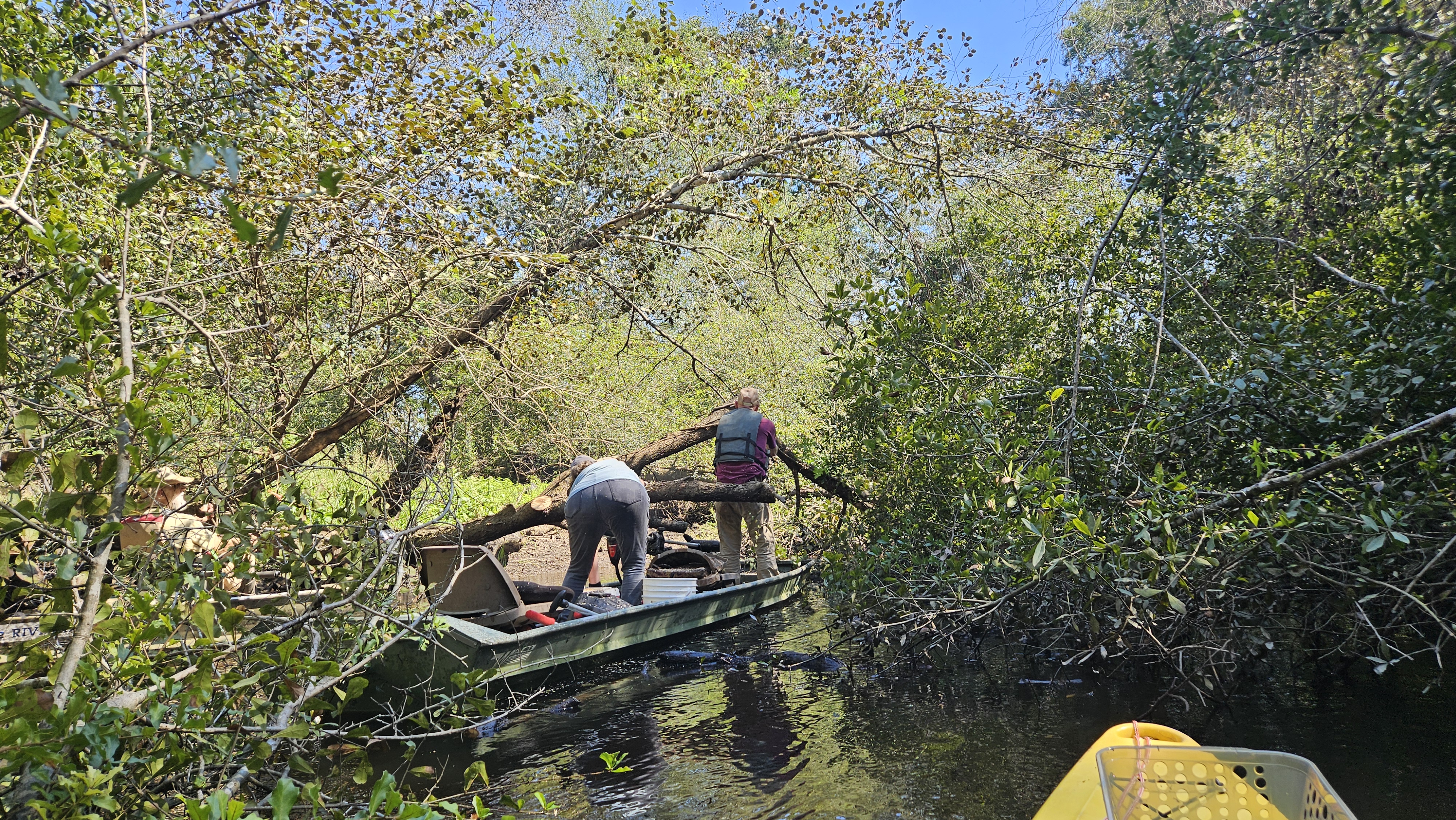 Tommy sawing a big branch off Poley Deadfall --Darlene Eanes Ray, 11:25:04, 31.2112315, -83.5109706