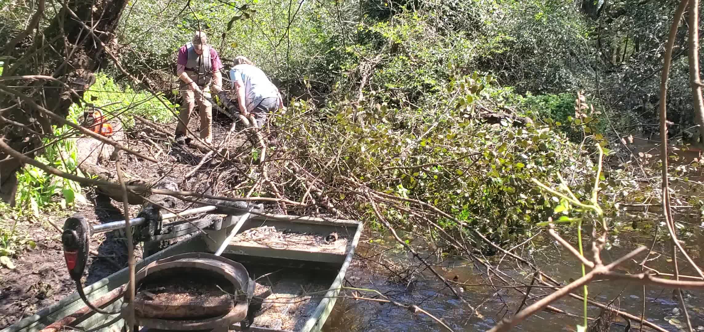 Movie: Tommy and Paris pulling branches ashore --John S. Quarterman, 11:33:56, 31.2112623, -83.5111863 (33M)