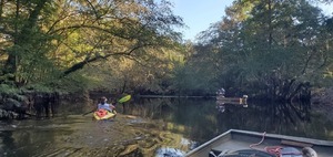 [Somebody fishing just above Rountree Bridge --John S. Quarterman, 09:27:20, 31.1957045, -83.5195959]