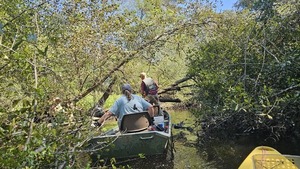 [Tommy sawing a limb off Poley Deadfall --Darlene Eanes Ray, 11:22:59, 31.2112320, -83.5109716]