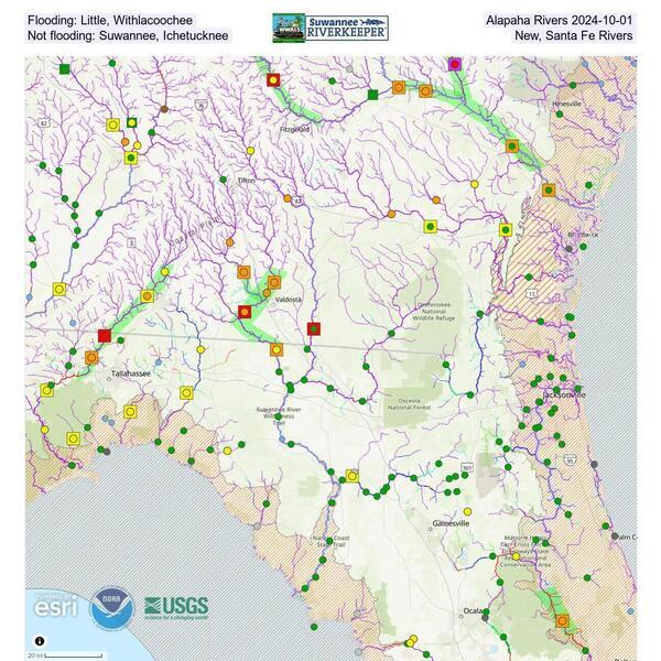 Flooding: Little, Withlacoochee, Alapaha Rivers 2024-10-01 Not flooding: Suwannee, Ichetucknee, New, Santa Fe Rivers