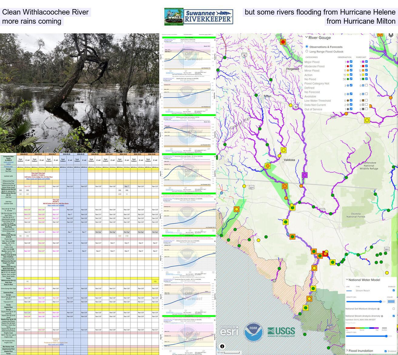 Clean Withlacoochee River, but downstream Alapaha, Withlacoochee, Santa Fe, and Suwannee Rivers rivers flooding from Hurricane Helene, and more rains coming from Hurricane Milton.