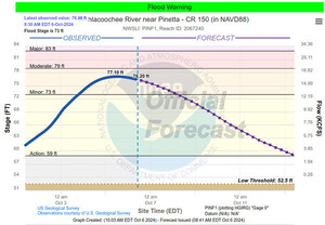 [Pinetta Gauge, Witlacoochee River, 2024-10-06]