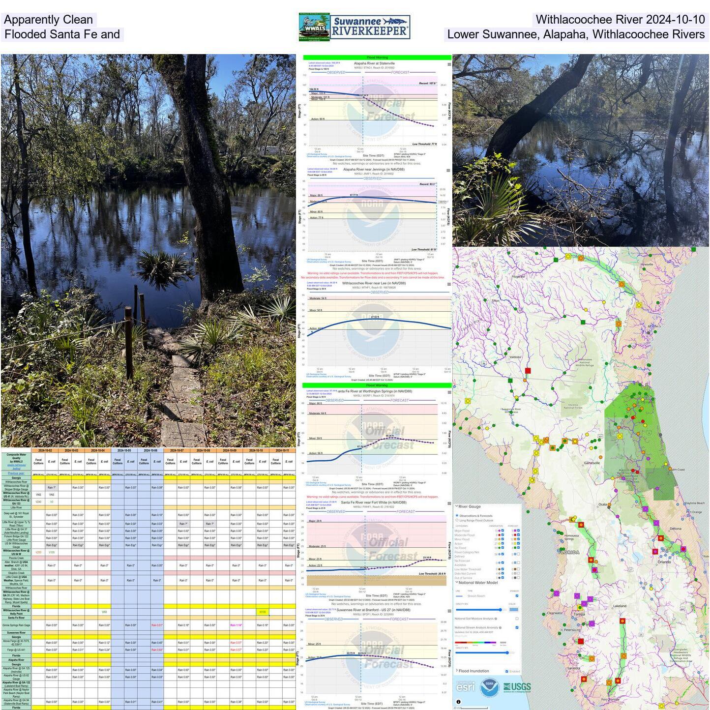 Apparently clean Withlacoochee River 2024-10-10 Flooded Santa Fe River and lower Suwannee, Alapaha, and Withlacoochee Rivers