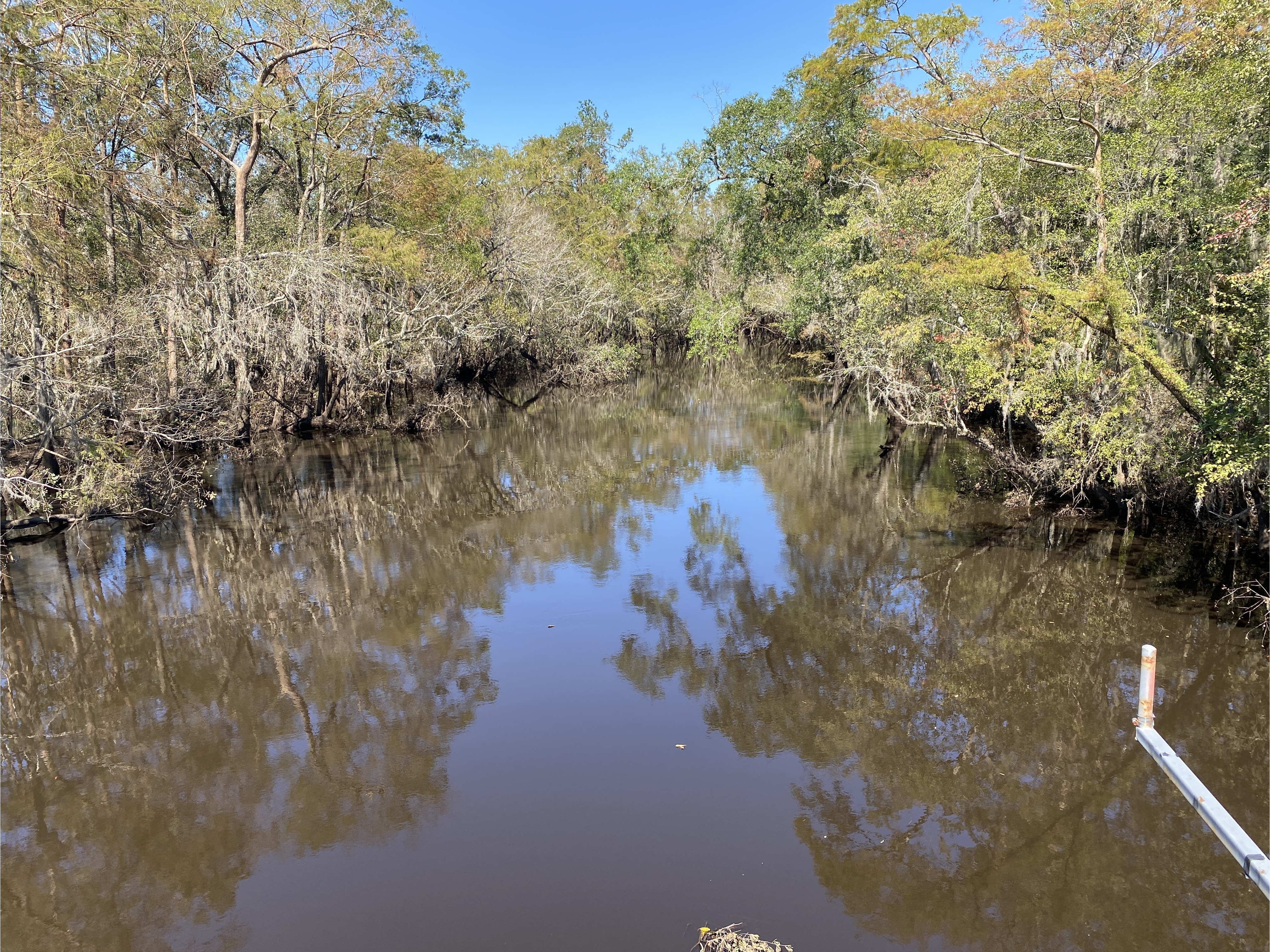 Sheboggy Boat Ramp, Alapaha River @ US 82 2024-10-13