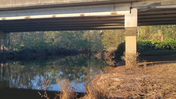 Upstream, Hagan Bridge Landing, Withlacoochee River @ GA 122 2024-10-17