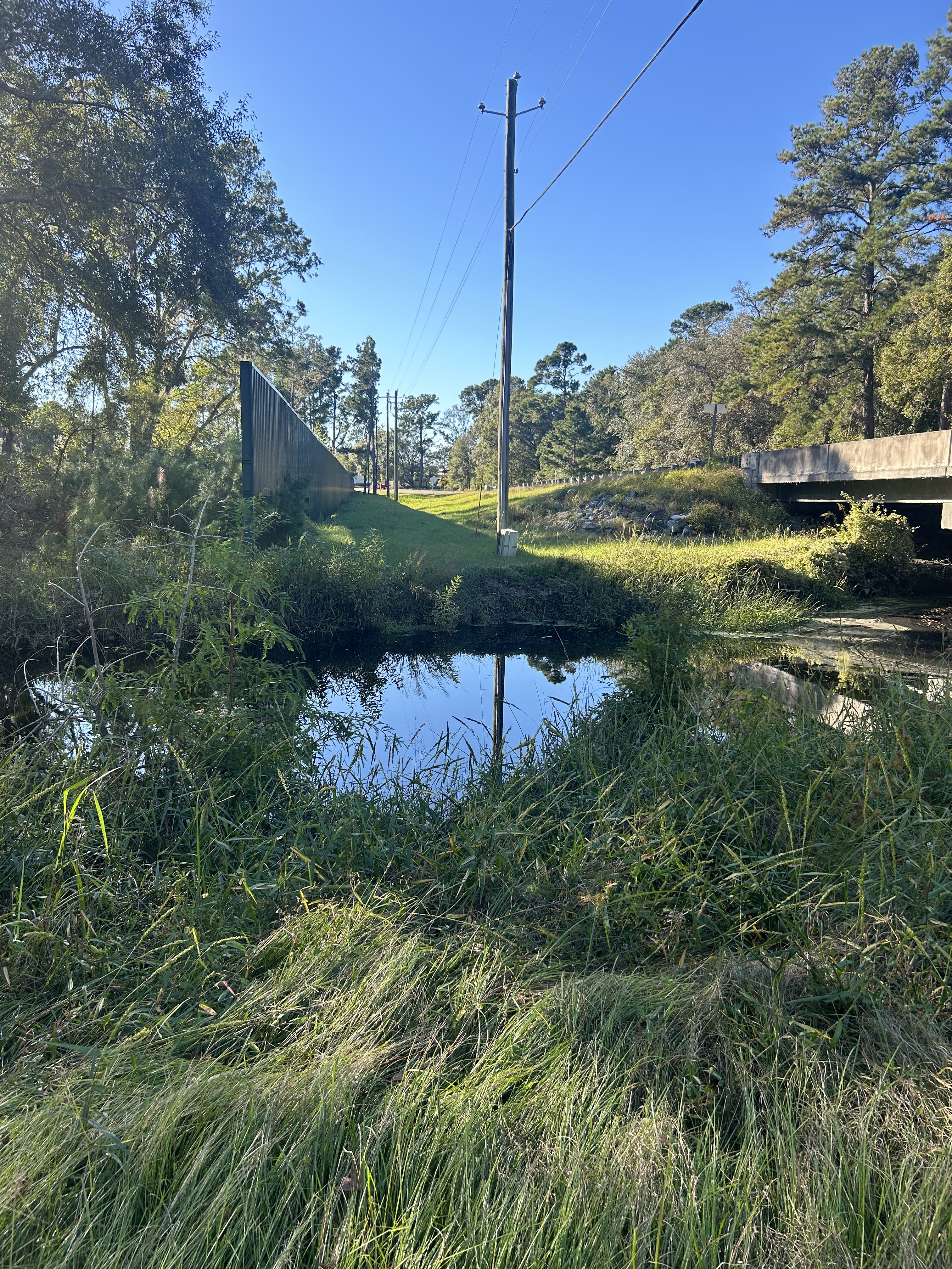 Franks Creek @ GA 122 2024-10-16