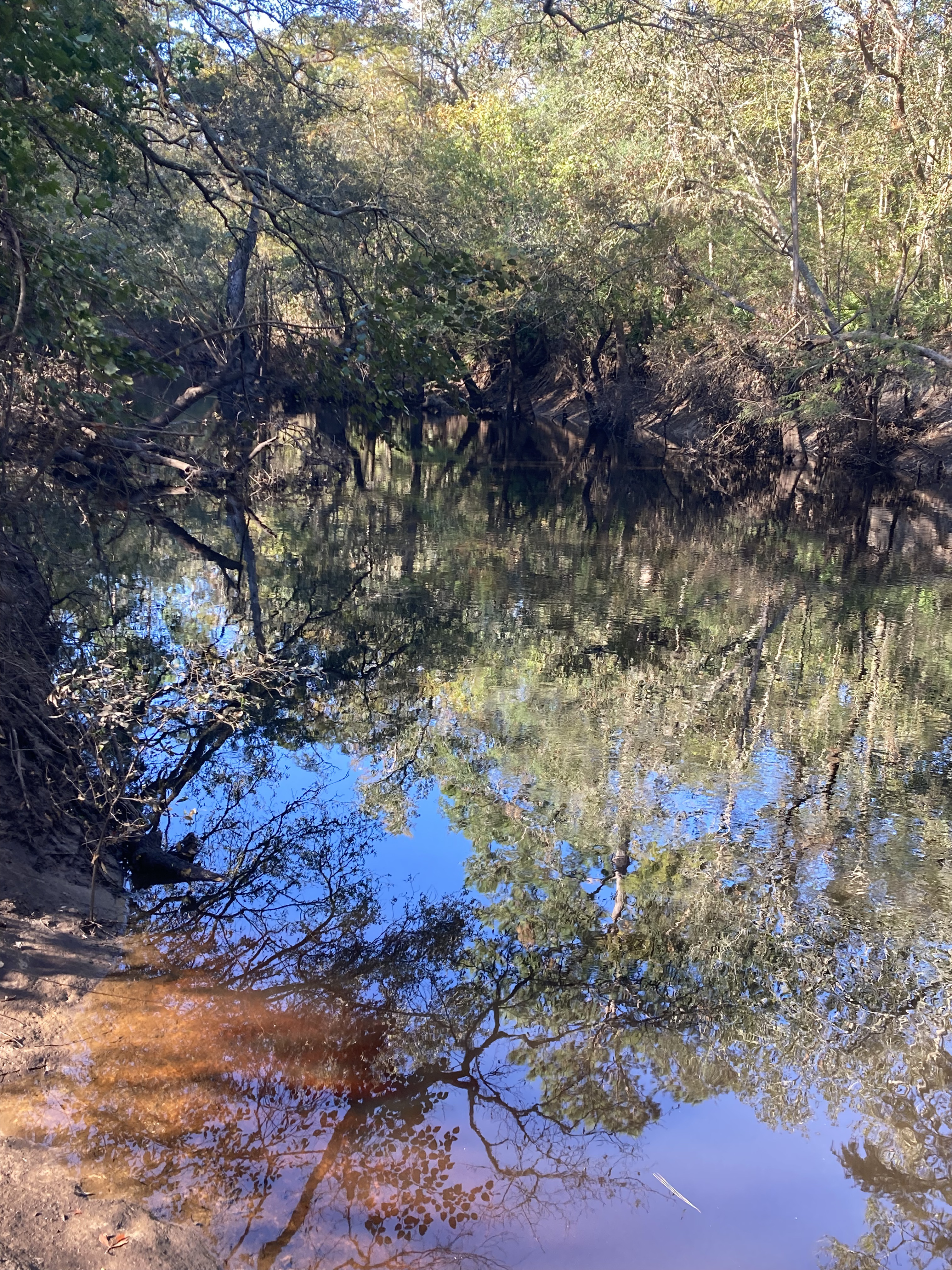 Withlacoochee River @ Staten Road 2024-10-17