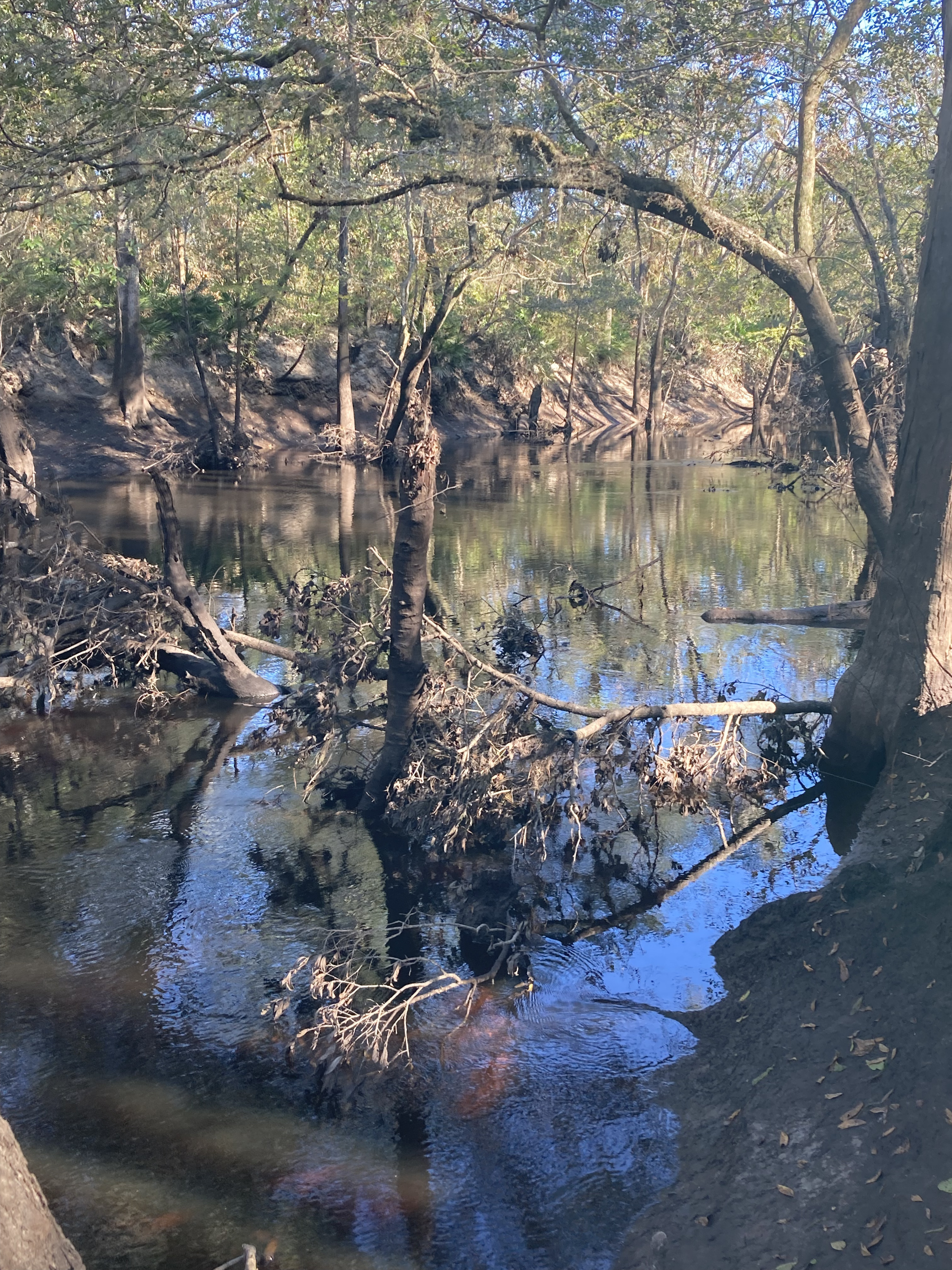 Other, Withlacoochee River @ Staten Road 2024-10-17