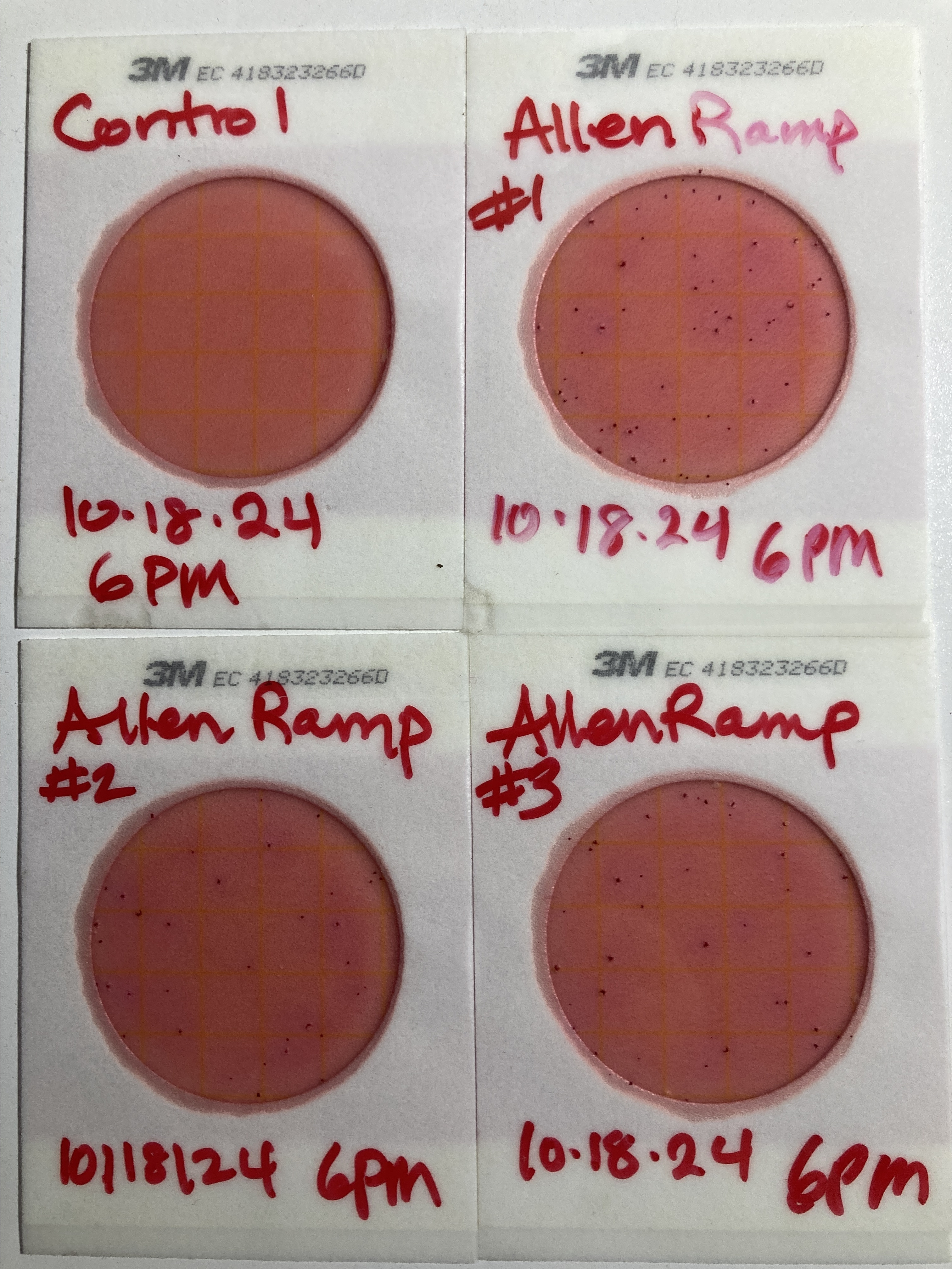 Plates, Allen Ramp, Withlacoochee River 2024-10-18