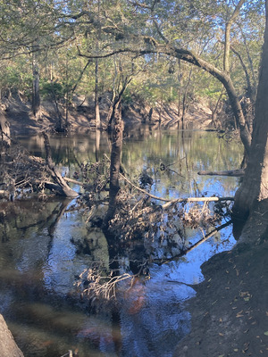 [Other, Withlacoochee River @ Staten Road 2024-10-17]