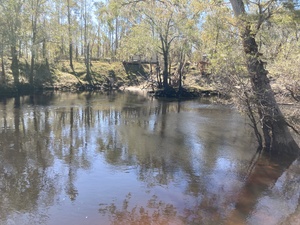 [Allen Ramp upstream, Withlacoochee River @ 2726 SW 64th Way Jasper, FL 32052 2024-10-18]