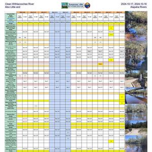 [Clean Withlacoochee River 2024-10-17, 2024-10-16 Also Little and Alapaha Rivers]