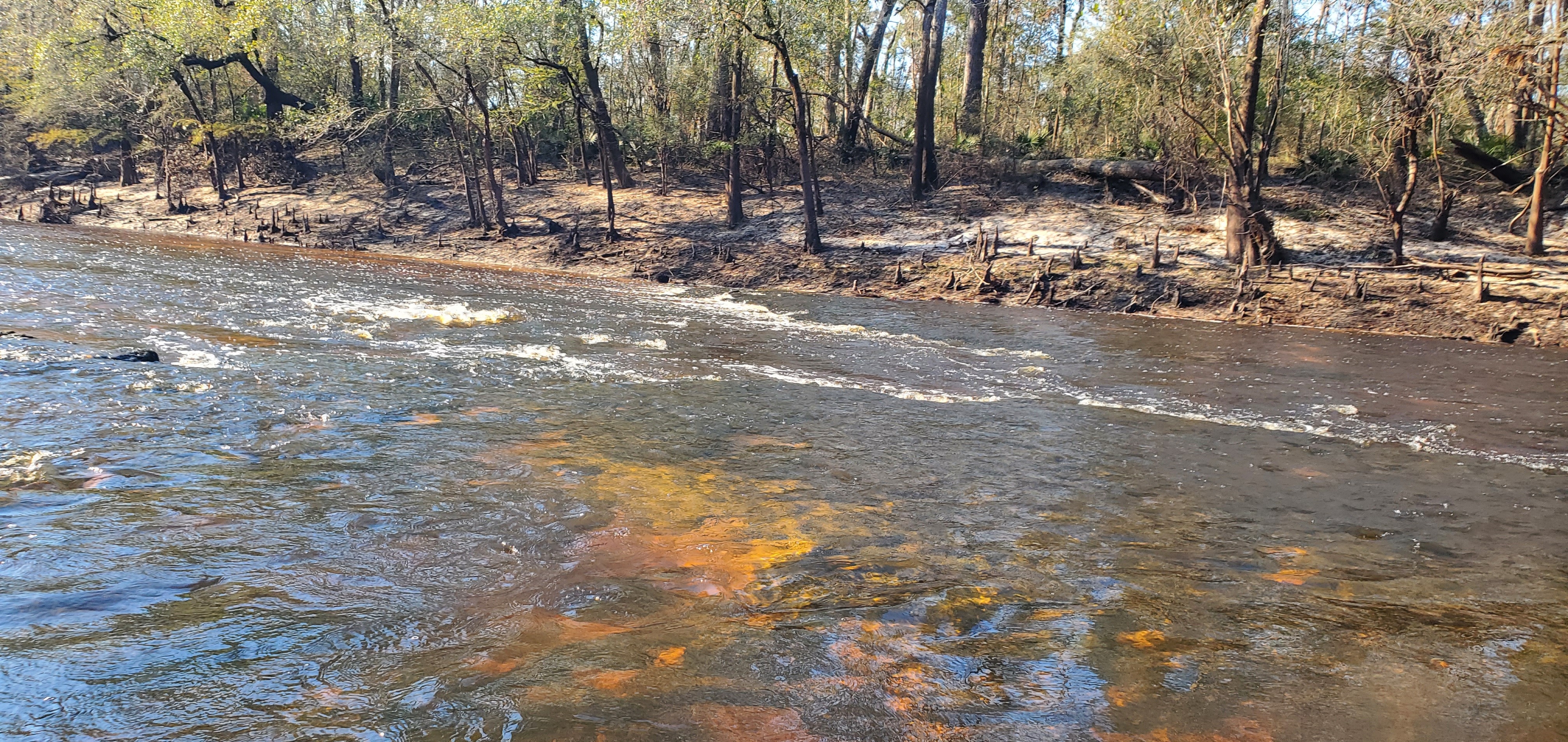 Rocks at Trashy Shoals, 10:25:47, 30.8454608, -83.3514466