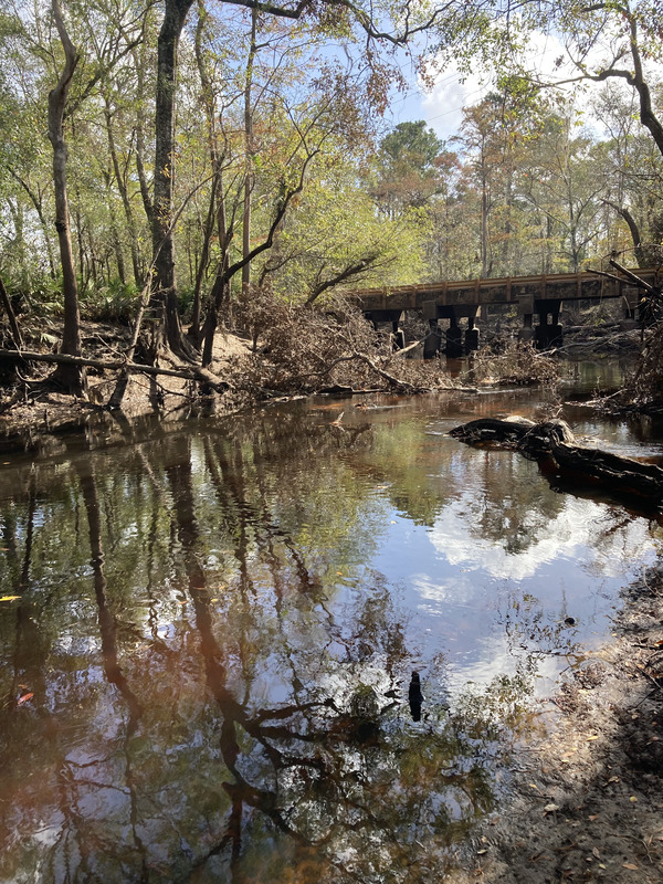 Franklinville river, Withlacoochee River @ Frankinville Road 2024-10-31