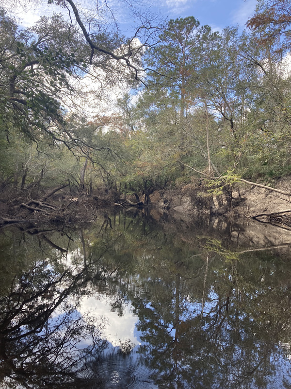 Staten Road downstream, Withlacoochee River @ Staten Road 2024-10-31