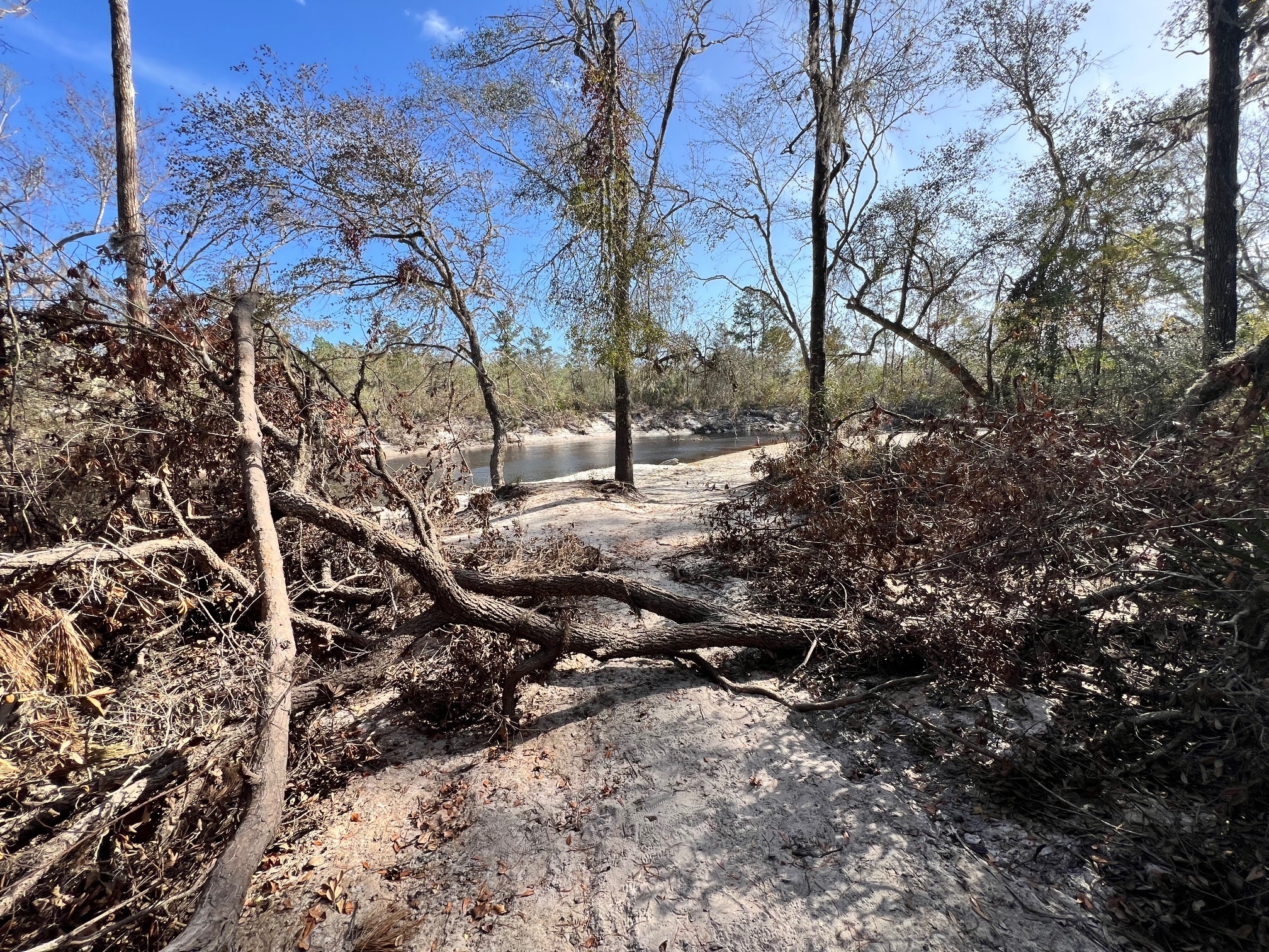 Naylor Park Beach, Alapaha River @ US 84 2024-10-31