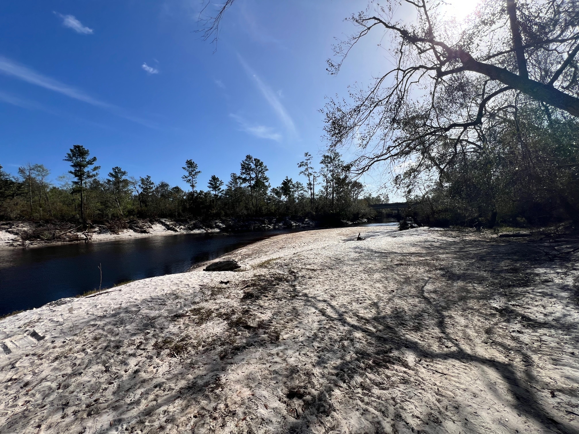 Naylor Park Beach upstream, Alapaha River @ US 84 2024-10-31