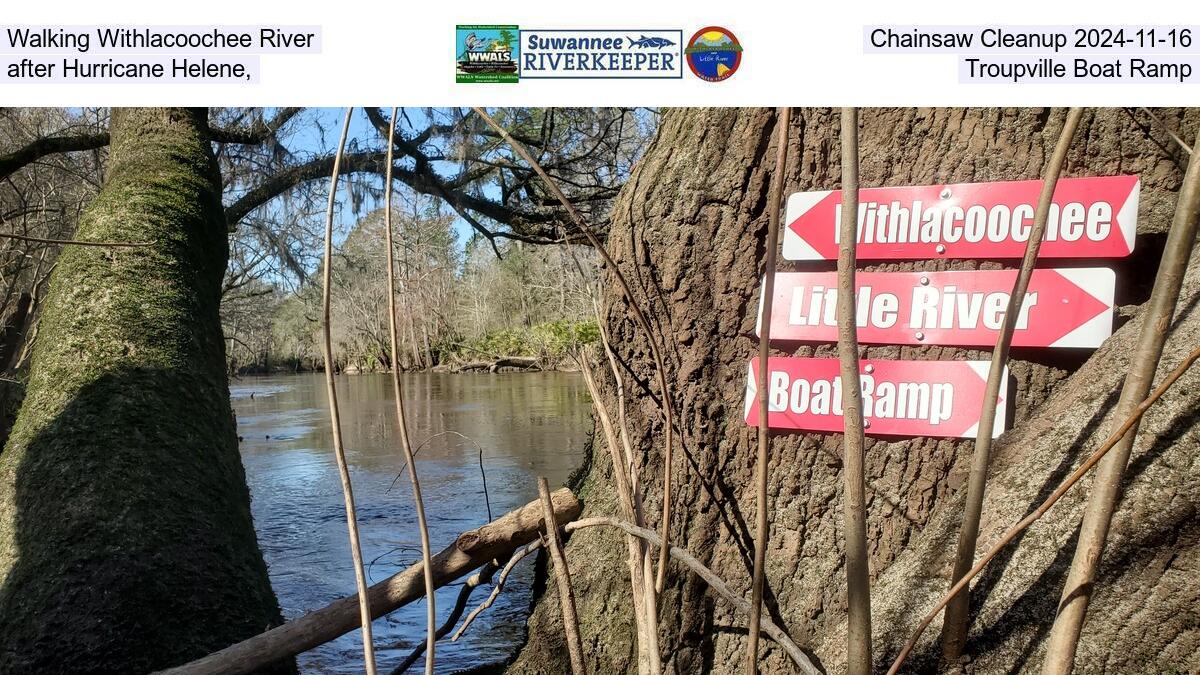 Walking Withlacoochee River Chainsaw Cleanup 2024-11-02, after Hurricane Helene, Troupville Boat Ramp