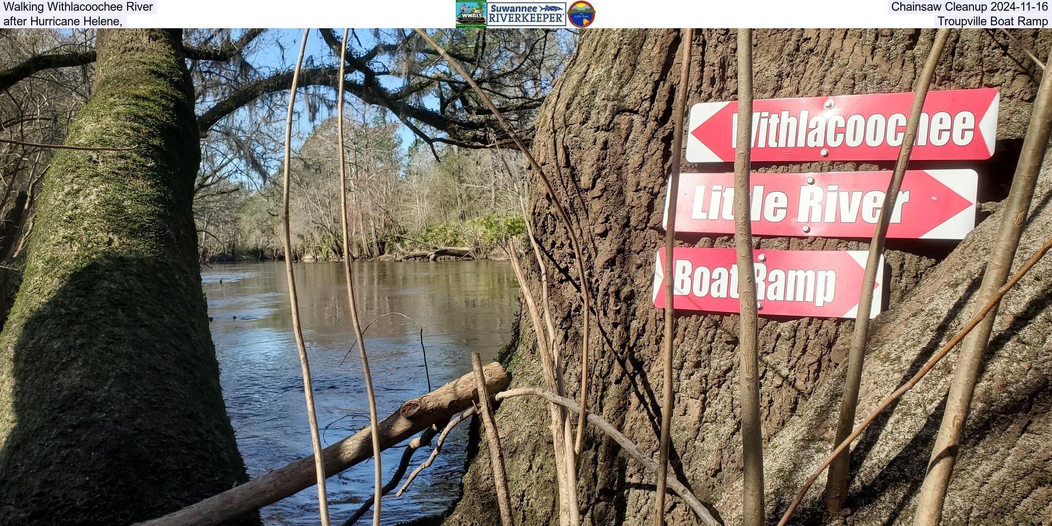 Walking Withlacoochee River Chainsaw Cleanup 2024-11-02, after Hurricane Helene, Troupville Boat Ramp