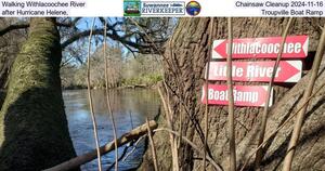 [Walking Withlacoochee River Chainsaw Cleanup 2024-11-02, after Hurricane Helene, Troupville Boat Ramp]