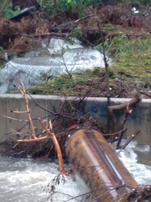 [Waterfall beside sewer pipe --Scotti Jay]