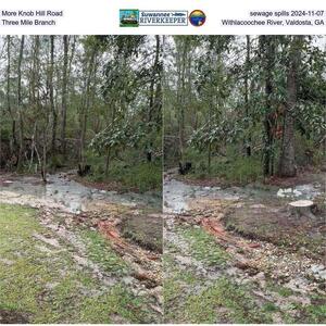 [More Knob Hill Road sewage spills 2024-11-07, Three Mile Branch, Withlacoochee River, Valdosta, GA]