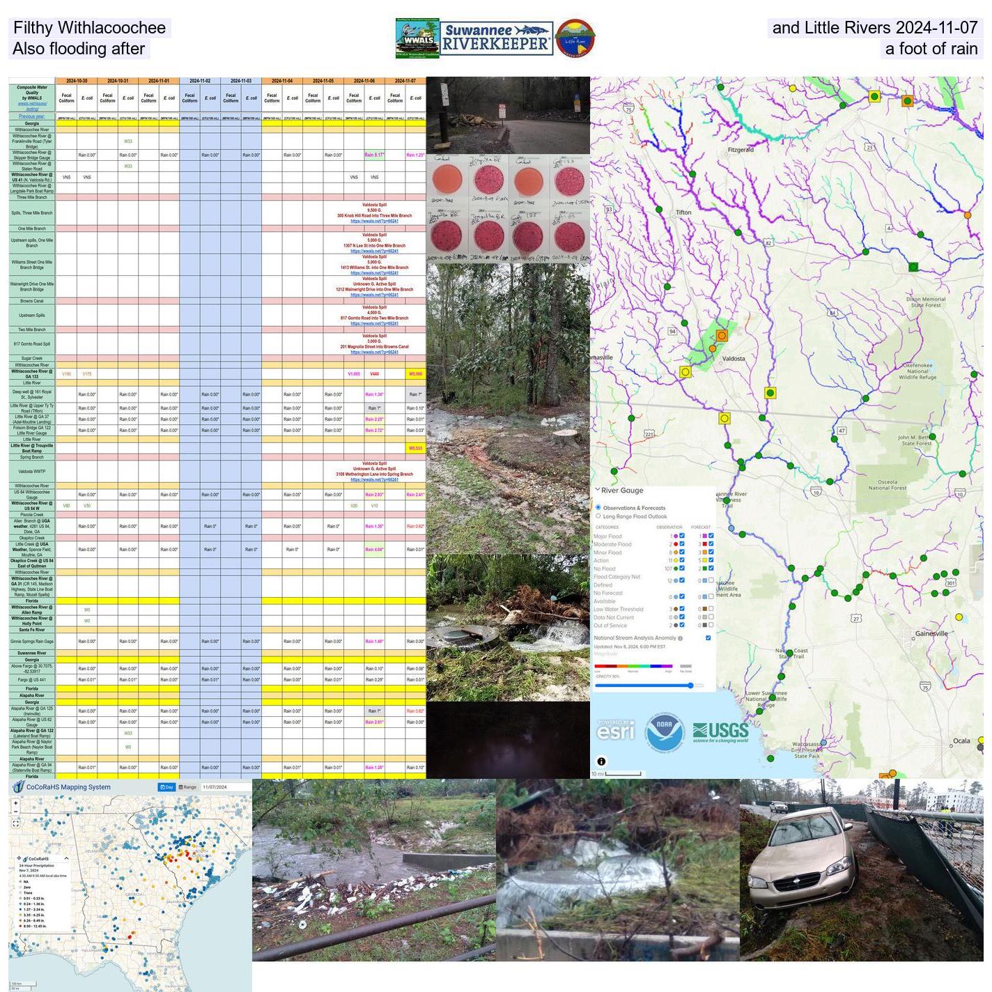 Filthy Withlacoochee and Little Rivers 2024-11-07 Also flooding after a foot of rain