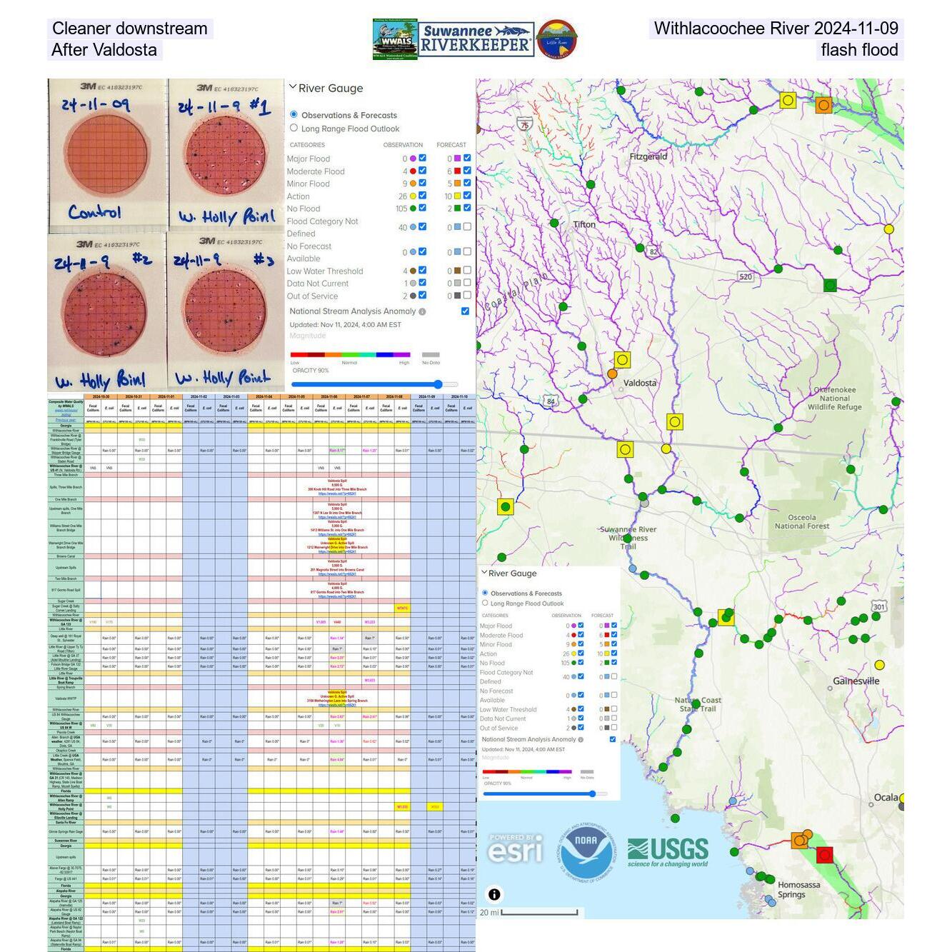Cleaner downstream Withlacoochee River 2024-11-09 After Valdosta flash flood