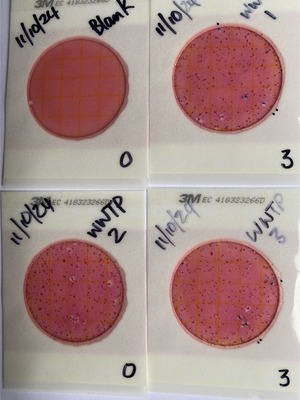 [Plates, Outflow Creek, Alapaha WWTP 2024-11-10]