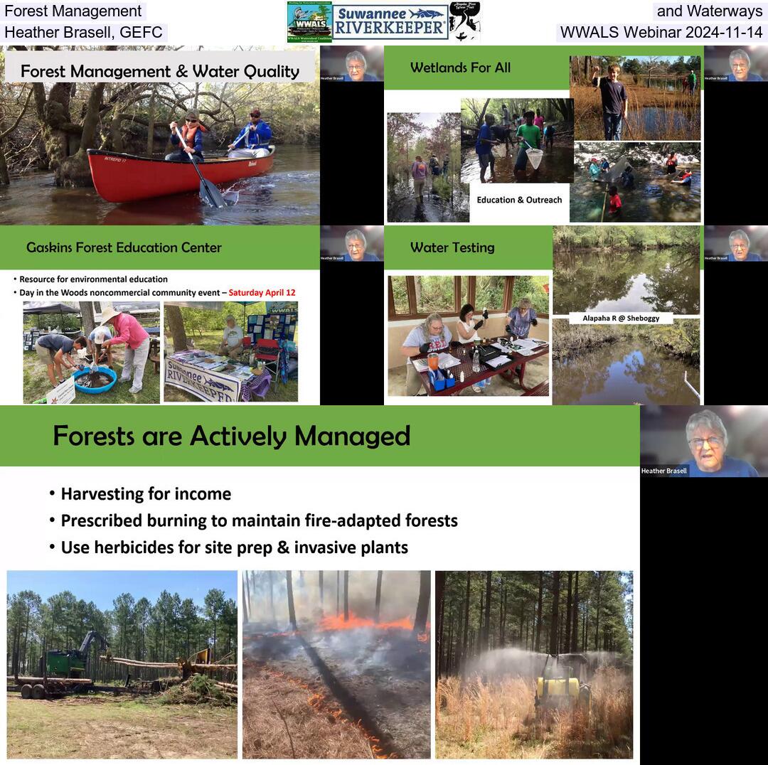 Forest Management and Waterways, Heather Brasell, GEFC, WWALS Webinar 2024-11-14