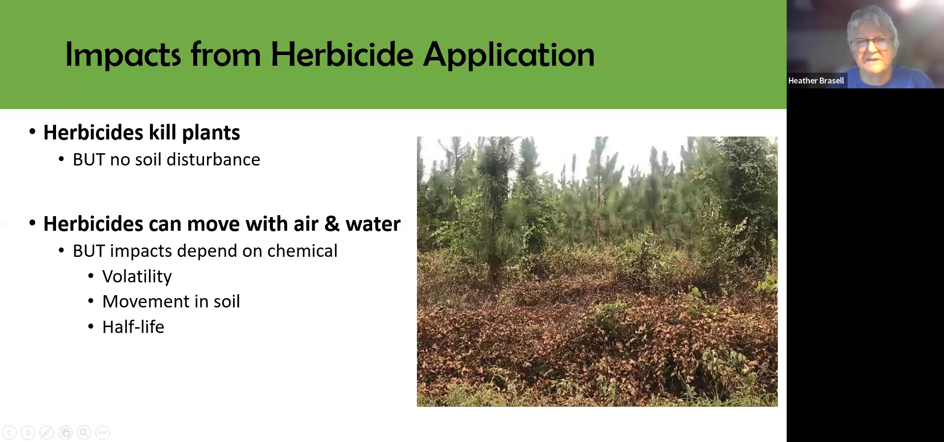 Impacts from Herbicide Application