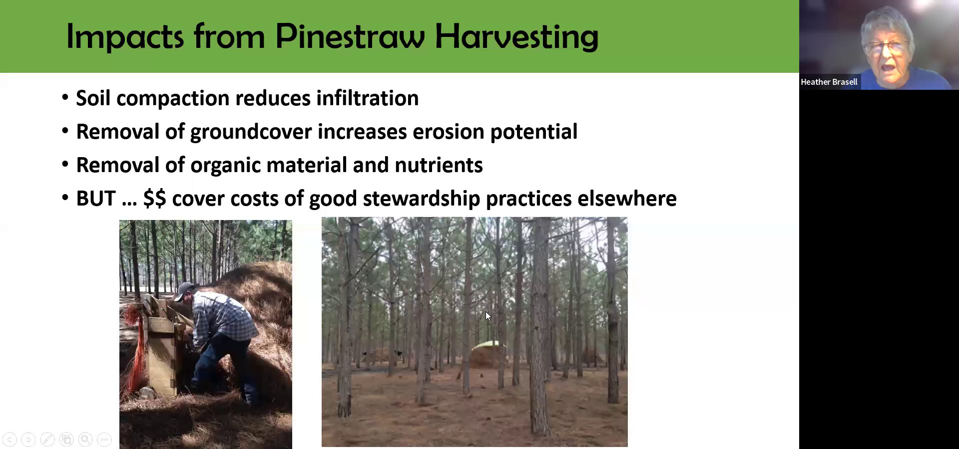 Impacts from Pinestraw Harvesting