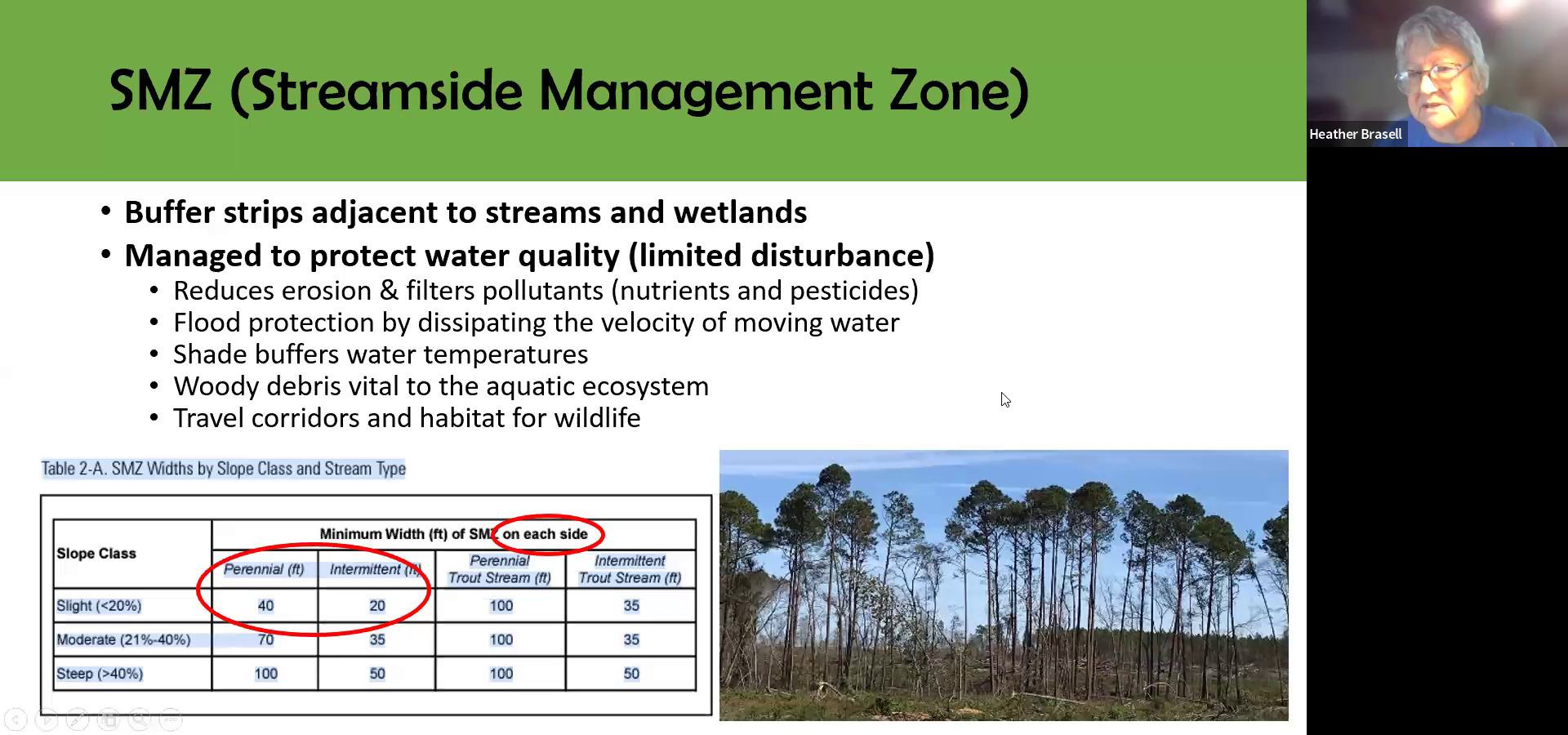 SMZ (Streamside Management Zone)